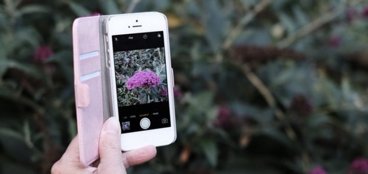 How to open and remove the shell on Xiaomi Mi Max 2